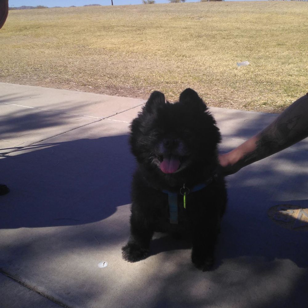 Meet your Posher, Christine